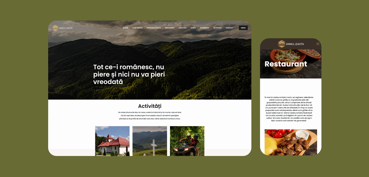 WebSite Prezentare Hanul Leaota